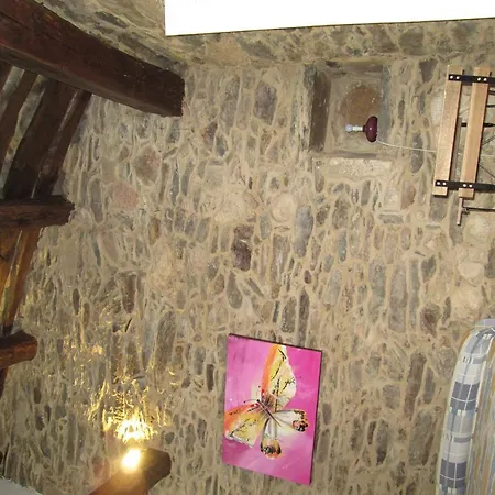 Y Turisticos Javier Sarria